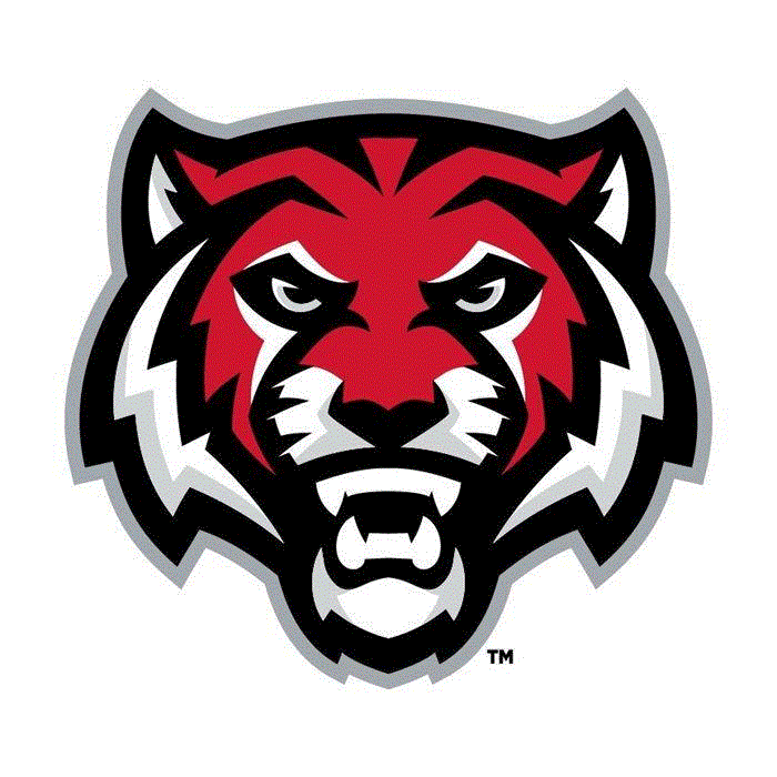 ADM Youth Basketball Logo